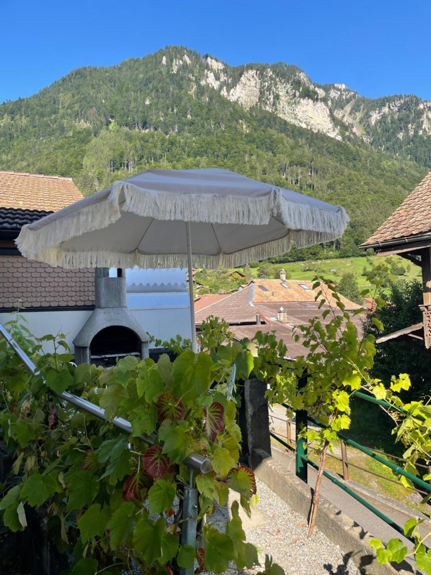 Studio In Alps By Apartments Capricorn Gsteigwiler Εξωτερικό φωτογραφία